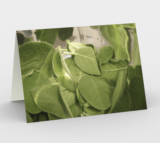 Blank Greeting Card | Sage