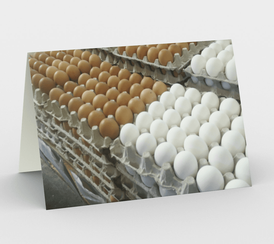 Blank  Greeting Card | Eggs