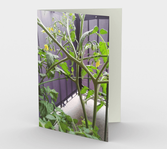 Blank Greeting Card | Tomato Plant